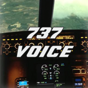 737 Voice - Aural Warnings