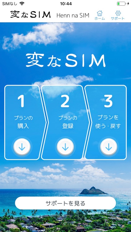 変なSIM