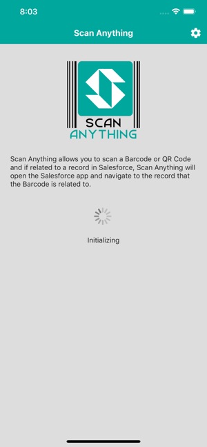 Scan Anything