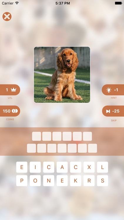 Dogs Breed Quiz