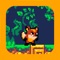 Jump into a challenging and amazing platform adventure with the brave Foxy