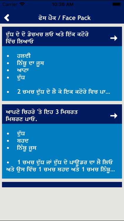 Punjabi Ayurveda Home Remedies screenshot-6