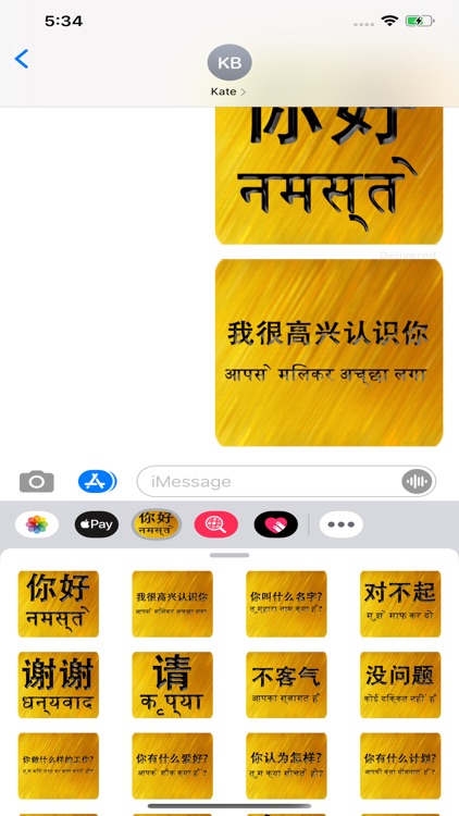 Chinese Hindi screenshot-3