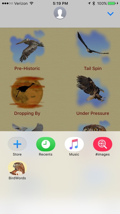 Birds for Words for iMessage