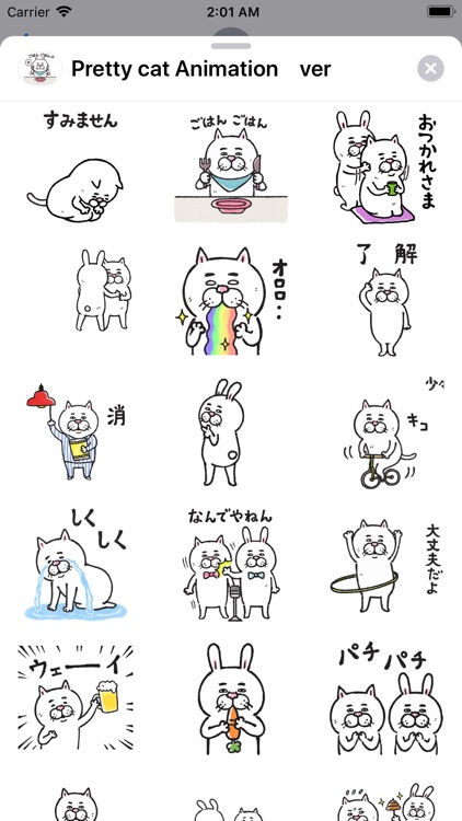 Pretty cat Animation ver