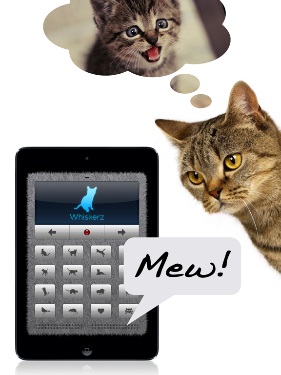 Human-to-Cat Translator screenshot