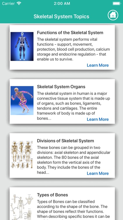 Anatomy - Skeletal System screenshot-5