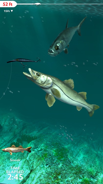 Rapala Fishing - Daily Catch screenshot-5