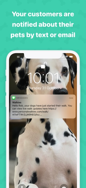 walkies dog walking