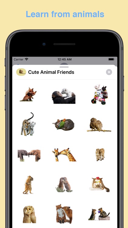 cute animal friends