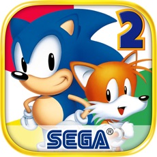 Activities of Sonic The Hedgehog 2 Classic