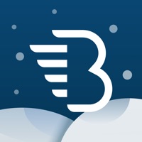 BelkaCar|Moscow,St.Pete,Sochi app not working? crashes or has problems?