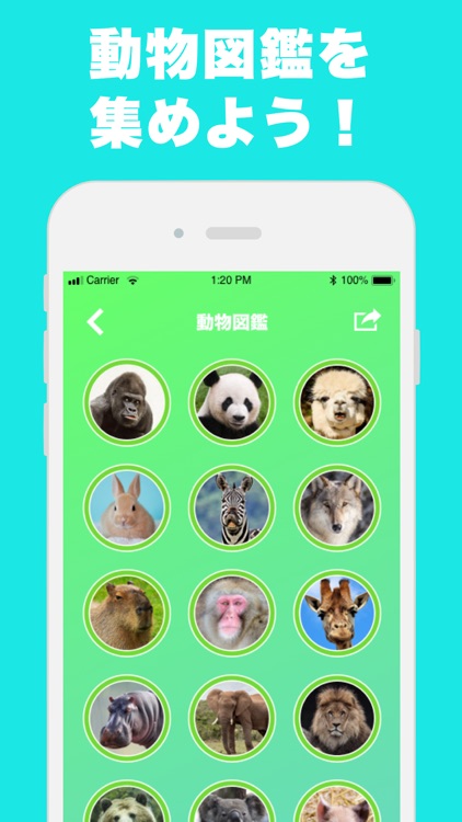 似てる顔の動物を診断するアプリ『どうぶつカメラ』 screenshot-2
