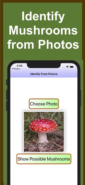 Forest Mushroom Identification(圖7)-速報App