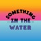 Stay connected and informed with the official Something In The Water 2019 App