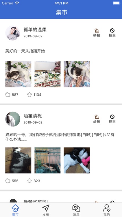 猫咪时刻