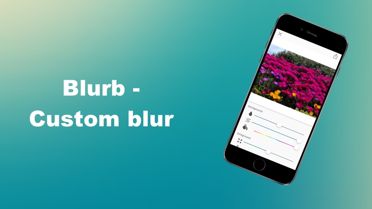 Blurb - Custom Blur