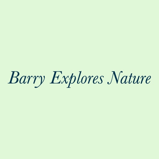 Barry Explores Nature