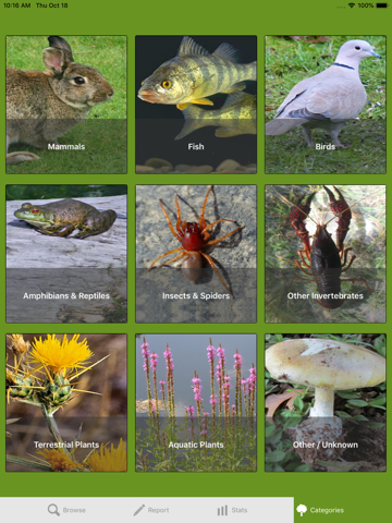 Report Invasives BC - náhled