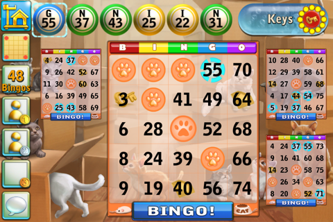 Bingo Cats screenshot 4