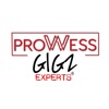 ProwessGigz Experts