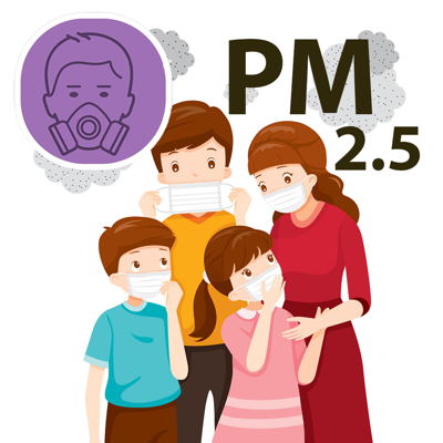 Air Quality - PM2.5 Italy