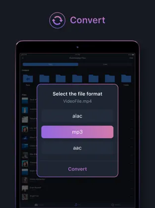 Captura de Pantalla 2 Musica sin internet: converter iphone