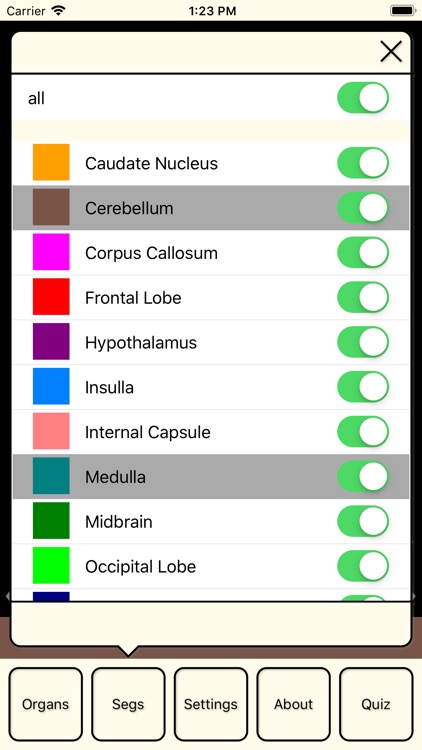 RadAnatomy screenshot-4