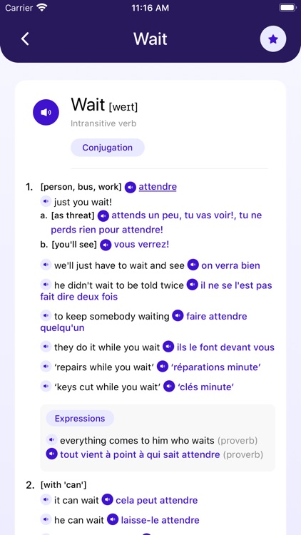French~English Dictionary