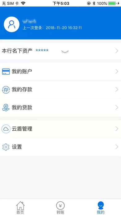元江北银 screenshot 3