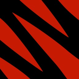 Red Zebra