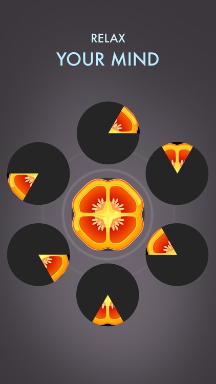 Slices Puzzle- Relaxing Game