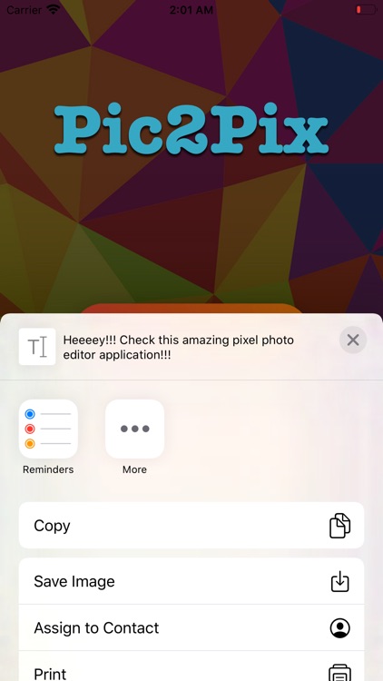 Pic2Pix screenshot-3