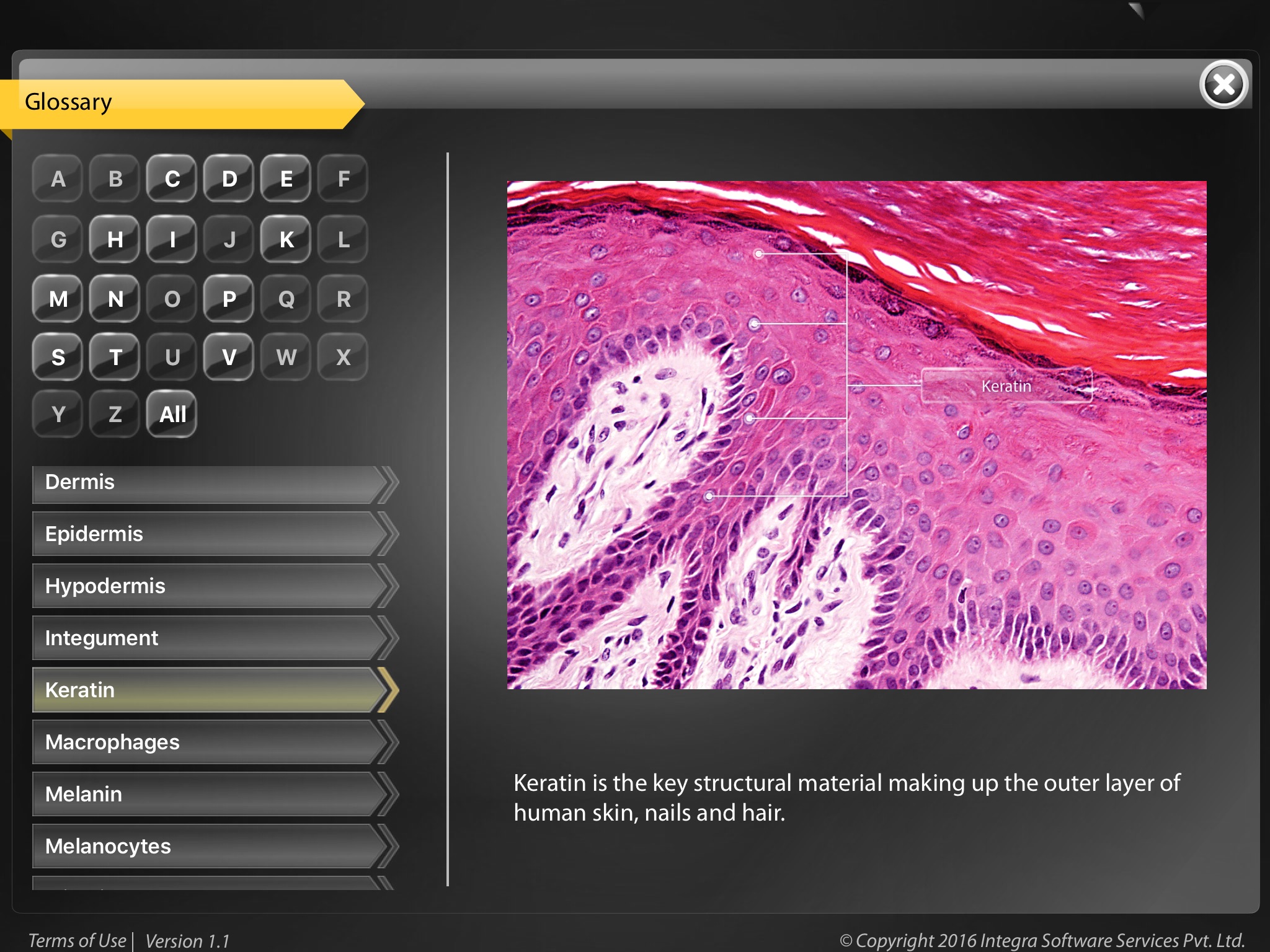 Human Anatomy - Integumentary screenshot 4