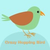Crazy Hopping Bird