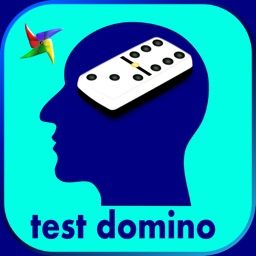 Domino psychotechnical test