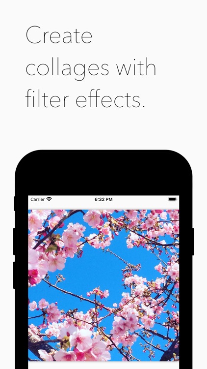 Filter Collage Maker