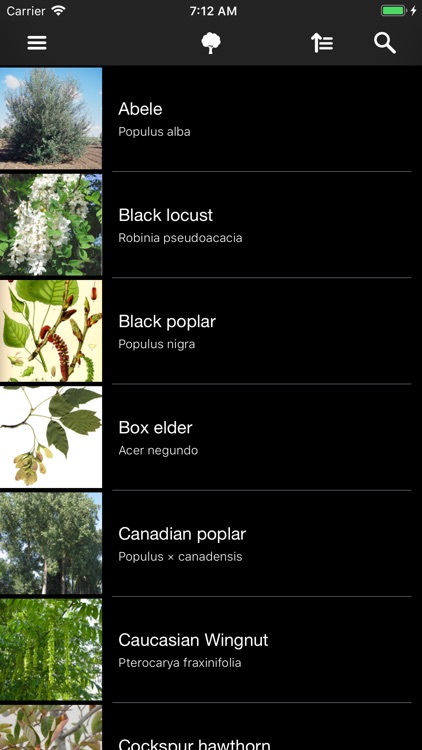 Deciduous trees screenshot-6