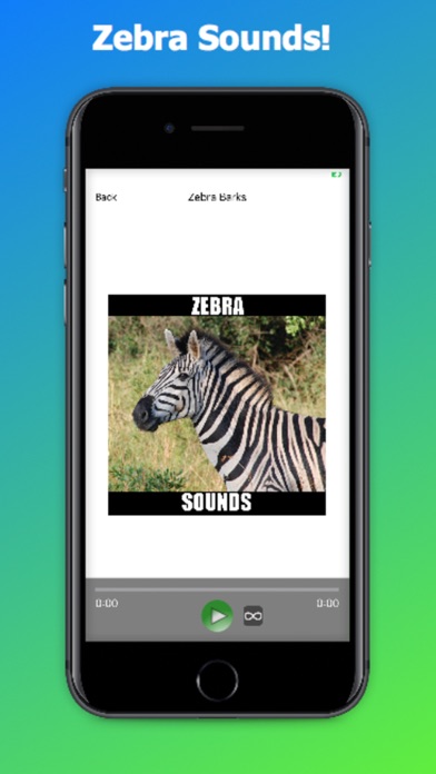Zebra Sounds screenshot 1