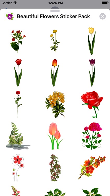 Beautiful Flowers Sticker Pack