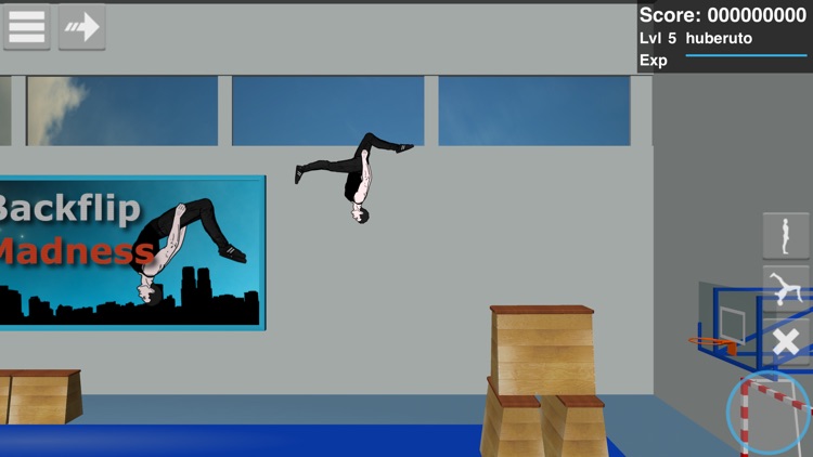 Backflip Madness