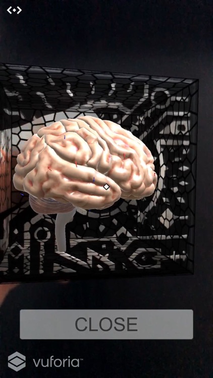 AR Medical screenshot-5
