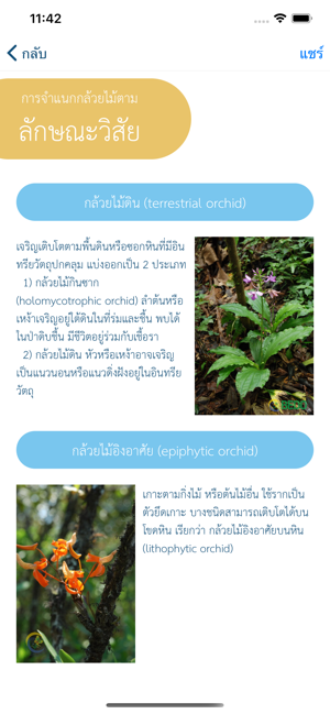 Wild Orchid กล้วยไม้ป่า(圖2)-速報App