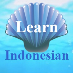 Learning words in Indonesian