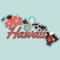 Hawaii Travel Guide ..