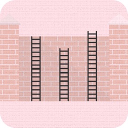 Ladder Height