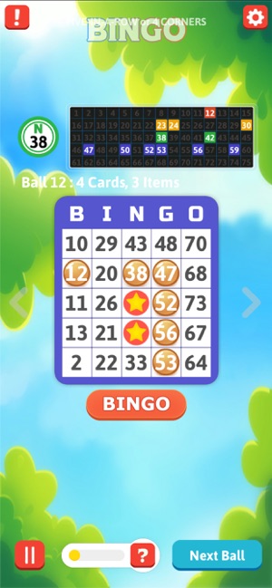 Bingo Masters Professional