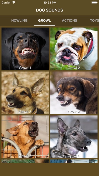 Dog Sounds - Collection screenshot-3