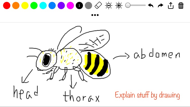 Super Simple Draw Premium screenshot-5