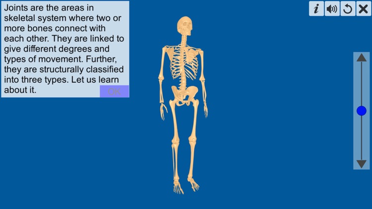Joints: The Human Levers screenshot-0